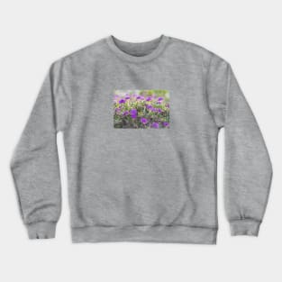 Purple Field of Flowers, Desert Verbena Crewneck Sweatshirt